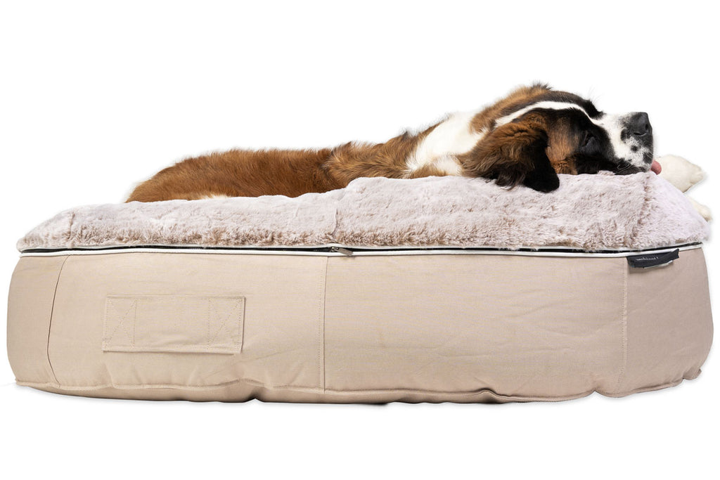 Luxury Beige Large Dog Bed with Lush Faux Fur Dog Bed Singapore Ambient Lounge Singapore Southeast Asia