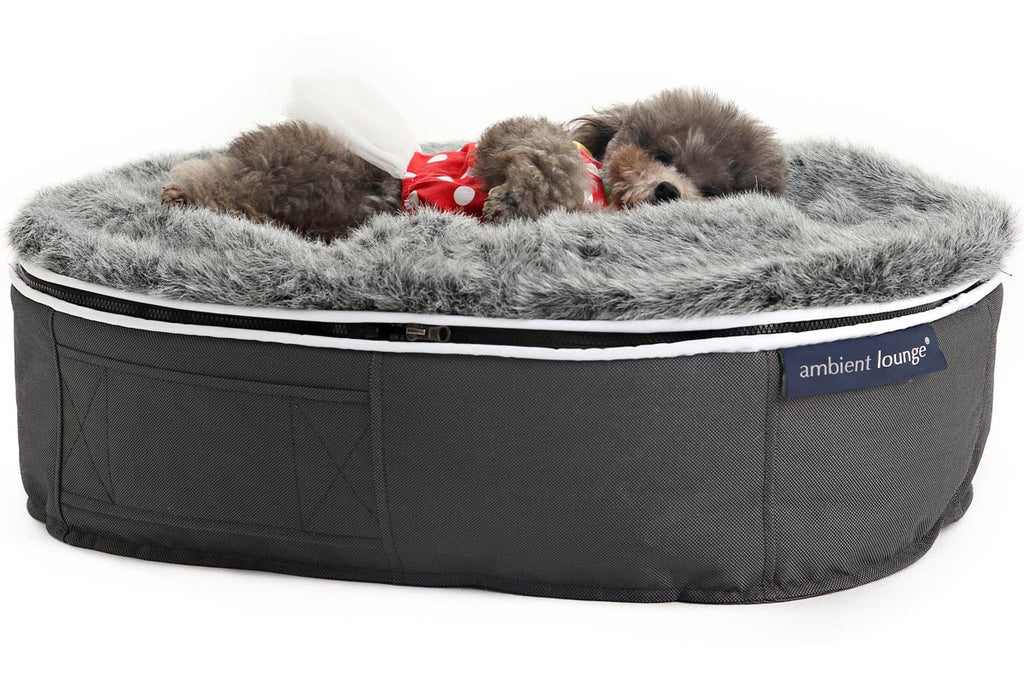 Electric dog bed clearance outdoor